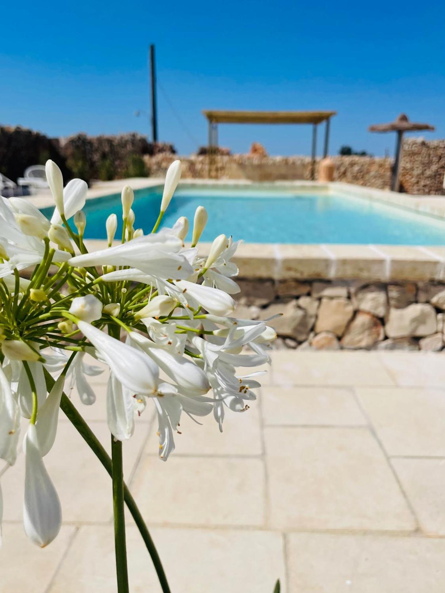 Masseria Voluzzi 코페르티노 외부 사진