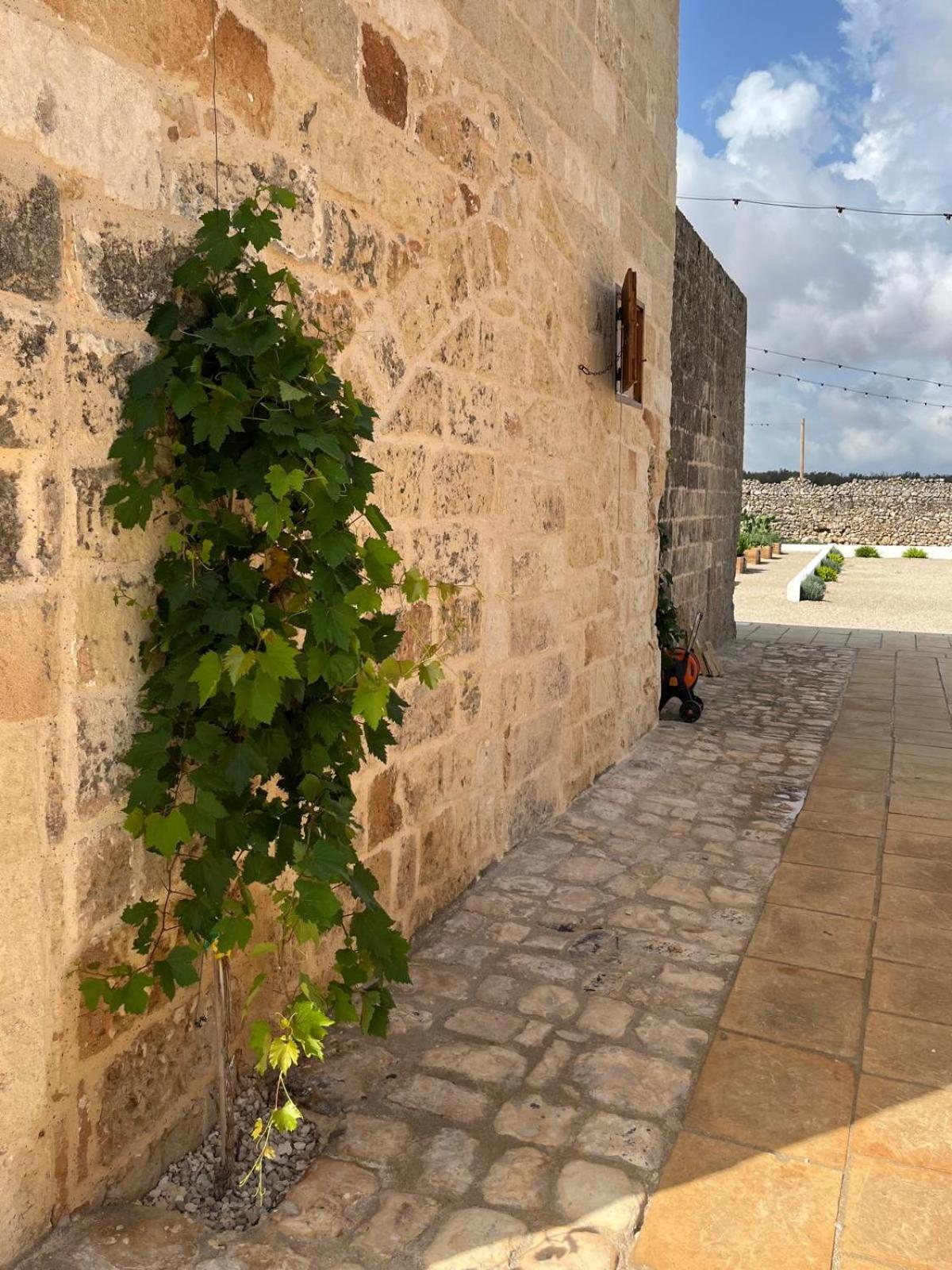 Masseria Voluzzi 코페르티노 외부 사진